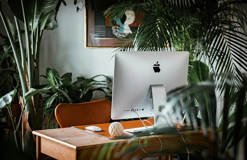 Apple iMac on wooden desk surrounded by green plants, featured in the Pinnacle customer case studies roundup