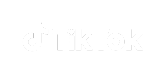 TikTok logo shown as a supported CRM integration for Pinnacle's AI chatbot for business