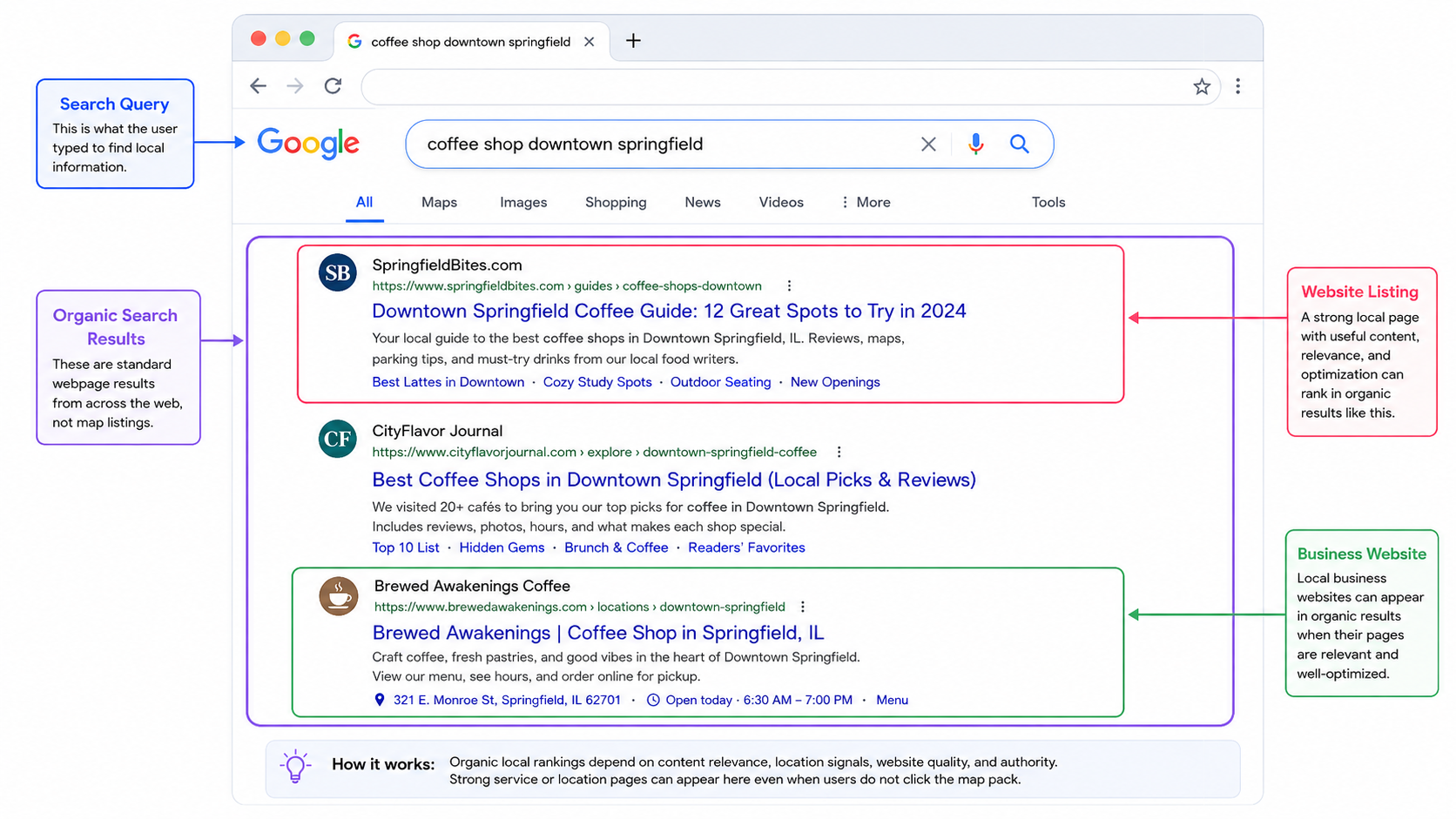 Google organic search results for a coffee shop search in downtown Springfield, showing two local guides and an individual coffee shop website.